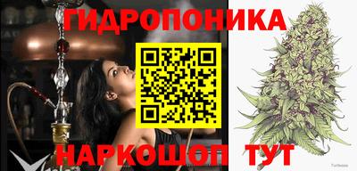 трава Новозыбков