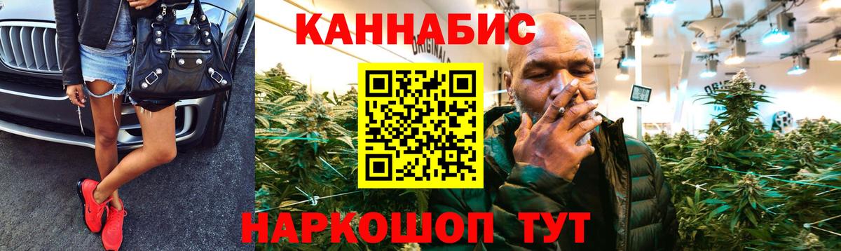 Каннабис планчик Ступино